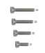 Screw (3)