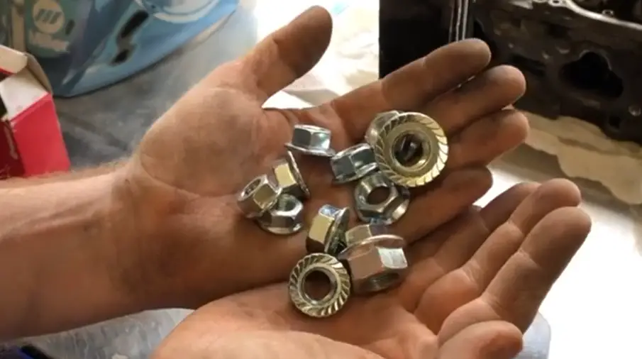 The Nuts