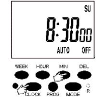 CFGROW Digital Timer Outlet User Manual - Minute setting