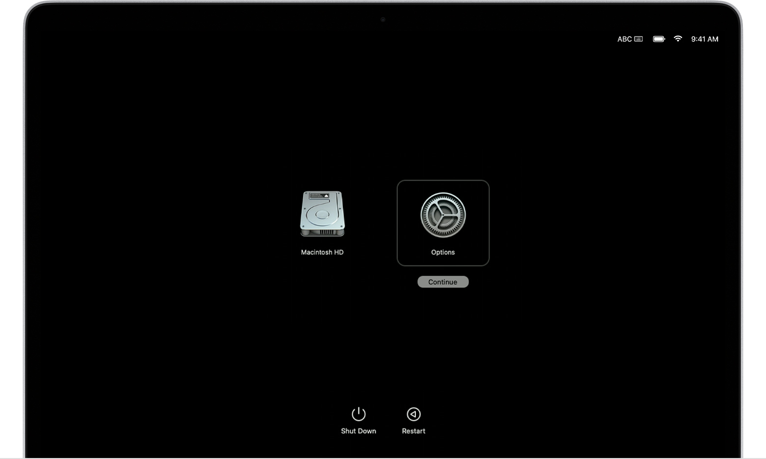 Recovery mode startup screen with "Options" selected