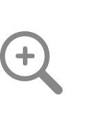 Magnifying glass icon