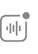 Sound Recognition icon