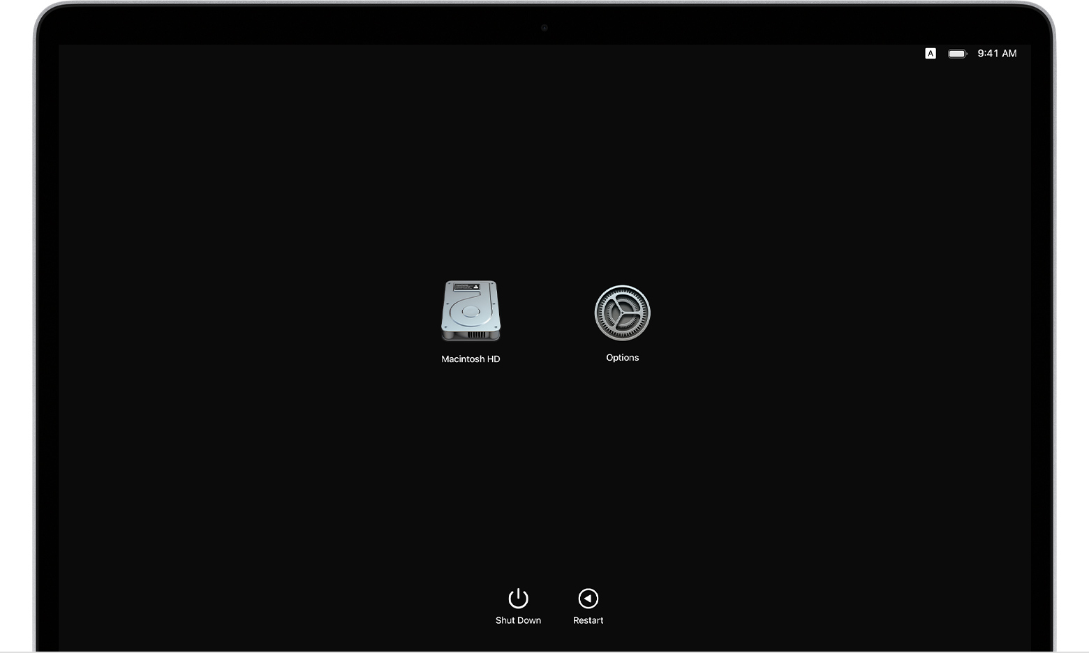 Startup Options screen