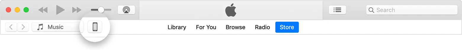 The device icon in the upper left corner of the iTunes window.