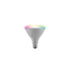 GE Lighting PAR38 Full Color Direct Connect Outdoor Smart Bulb - Copy