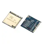 Shanghai Wendtech Information Technology WT5518 LoRa Module- Featured Image