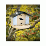 instructables Happy Birds Connected Bird Feeders - Featured Image