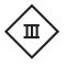 Domus Line V17 Radio Receiver for Lighting Control Instruction Manual - The instrument is in protection class II