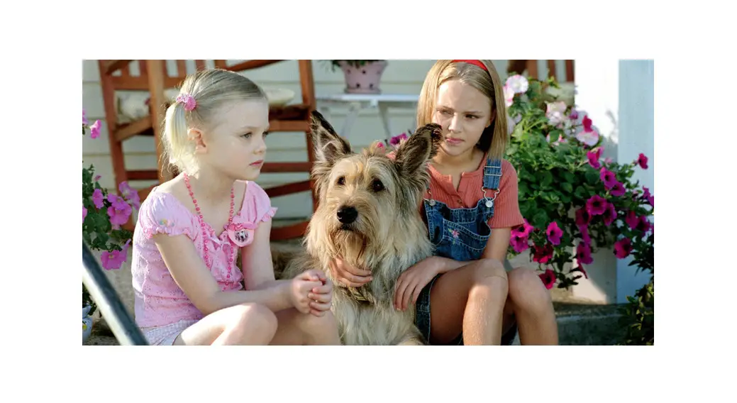 FAQs How Does Opal Get A Red Collar And A Leash For Winn Dixie User Manual