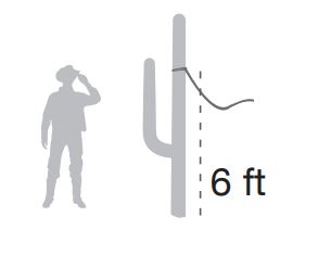 KAMMOK Python 10 UL Straps - Wrap your Python Straps six feet above the ground