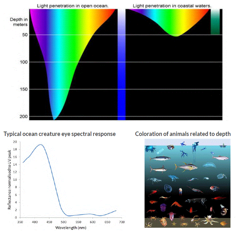 Subc-Imaging-Aquorea-Mk3-LED-Lights-for-ROV-and-AUV-Camera-Systems-9