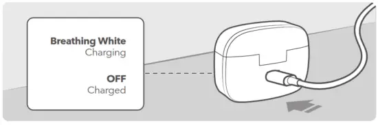 evatronics ET BH017 True Wireless Earbuds - fig 4