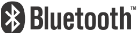 BLAUPUNKT BT05 Bluetooth speaker with FM and MicroSD playback - Bluetooth