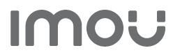 IMOU-IPC-CX2F-C-Consumer-Camera-LOGO