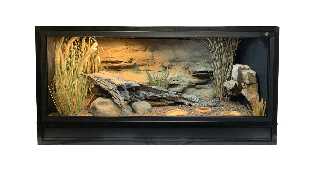 Reptile Habitats Reptile Enclosure - Featured Image