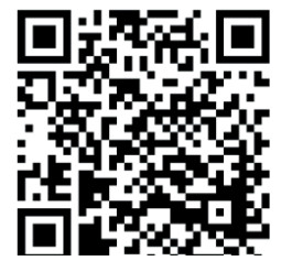 kvm-tec KT-8121 SmartEasy Dual in Copper - qr code