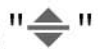 TSRC A6 GPS Function Drone - Icon7
