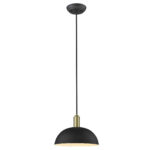 TREND TP30100 1 Light Pendant Light
