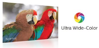 PHILIPS-439P1-4K-Ultra-HD-LCD-Display-with-MultiView-fig-
