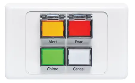 A 2081 Remote Plate