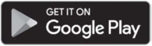 Play Store Icon