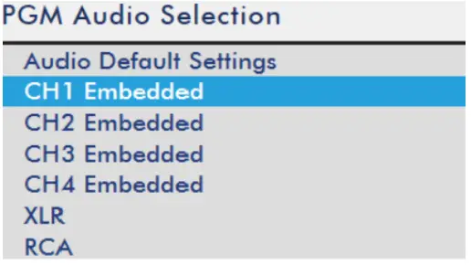 datavideo NVS 40 4 Channel Streaming Encoder Recoder - PGM Audio Source