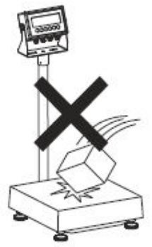 ANYLOAD TNS Series Bench Scale Instruction Manual - The scale is set default