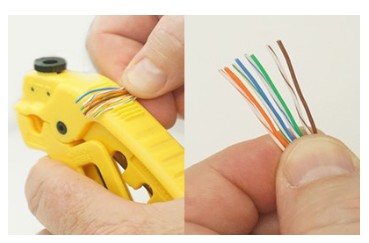 DataTronix DT CAT6 RJ45 100 Cat6 Unshielded Pass Through RJ45 - conductor.