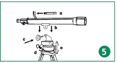 Mount assembly