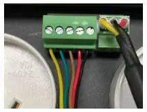 WATERCO Pooltek Pool Automation - PLUG