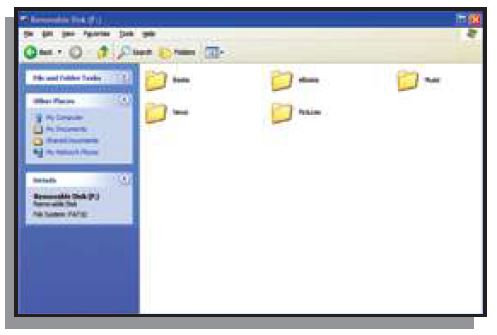 Aluratek-AEBK01WF-Libra-eBook-Reader-Pro-Digital-Text-Reader-FIG-11