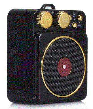 HWWR-T10-T-Portable-Bluetooth-Speaker-PRODUCT