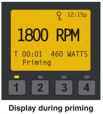 PENTAIR IntelliFlo VSF Variable Speed and Flow Pool Pump - time 5