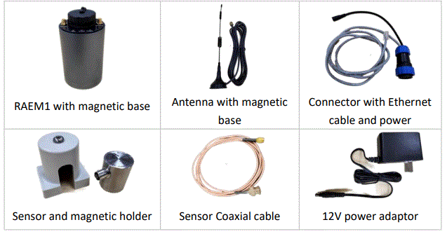 RAEM1-4G-Detection-System-fig-1