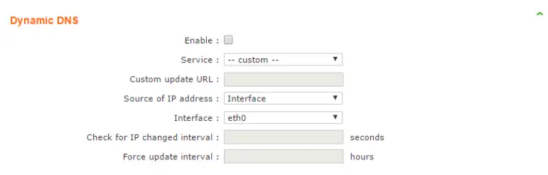 Dynamic DNS 