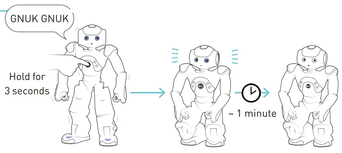 SoftBank Robotics NAO Humanoid and Programmable Robot - Turning OFF