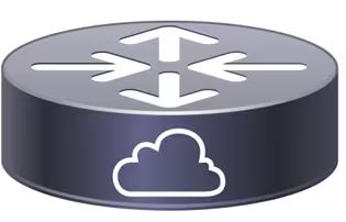 CISCO-CSR-1000v-Using-Custom-Data-product