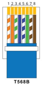 PETECHTOOL-8P8C-Color-Code-FIG-2