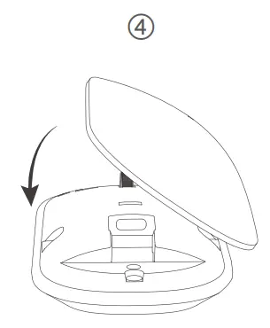 Connect the mouse to your device