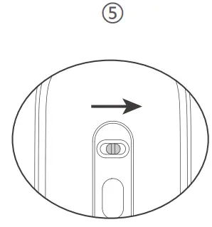 Connect the mouse to your device