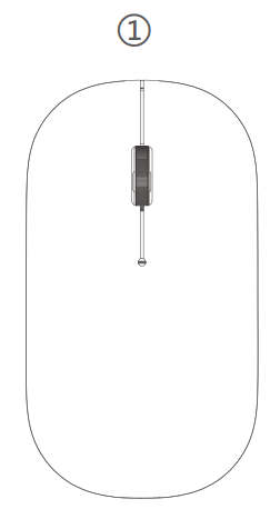 Connect the mouse to your device