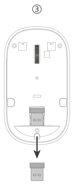 Connect the mouse to your device
