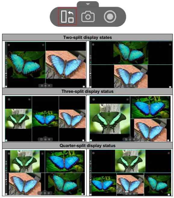 VIISAN VisualCam Multi Functional - display layout
