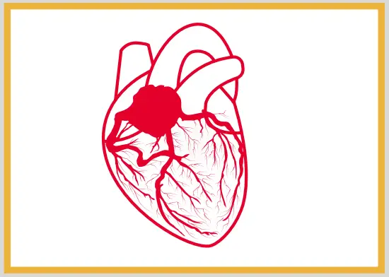 Coronary Flow Reserve (CFR)