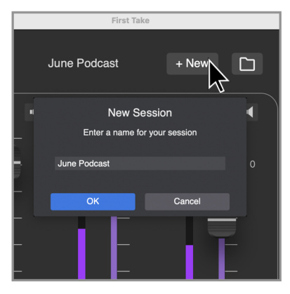 APOGEE First Take Multi Channel Podcast Recording Application -Set Levels