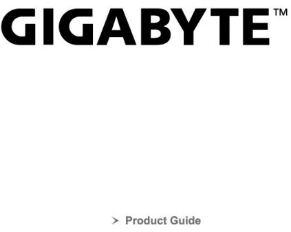 GIGABYTE AORUSM6 Key Features Mouse User Manual