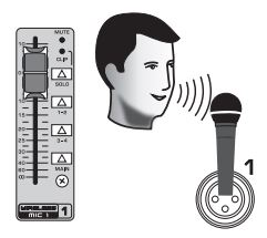 behringer QX2442USB USB 24 Channel USB Mixer with Multi FX Processor User Guide - Sing, speak or play at a normal level