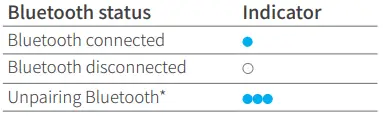 Bluetooth indicator instruction