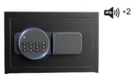 Set A New Password