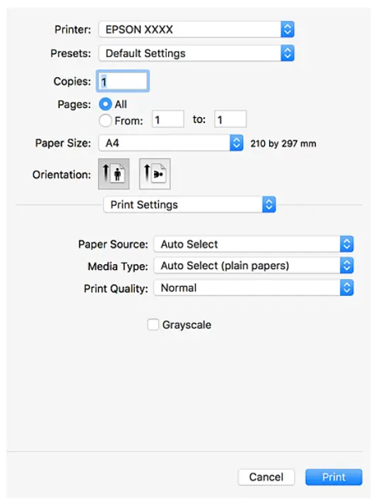 Authenticated Printing 